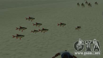 Nuevos peces para GTA San Andreas