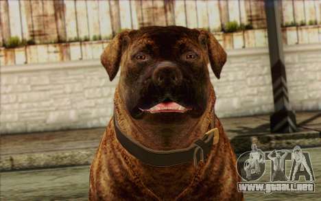 Rottweiler from GTA 5 Skin 1 para GTA San Andreas