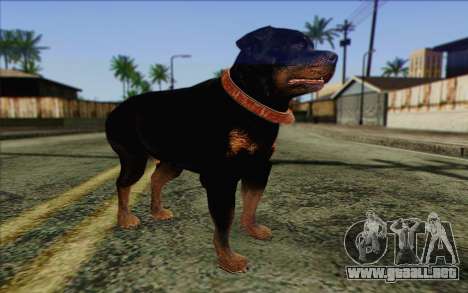 Rottweiler from GTA 5 Skin 3 para GTA San Andreas