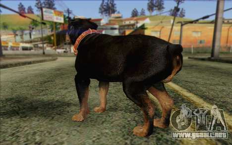 Rottweiler from GTA 5 Skin 3 para GTA San Andreas
