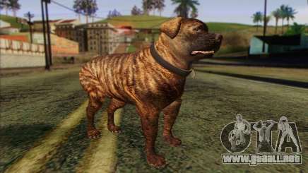 Rottweiler from GTA 5 Skin 1 para GTA San Andreas