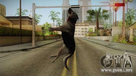 Silent Hill Downpour - DOG SH DP para GTA San Andreas