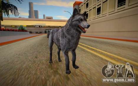 Wolf from Call Of Duty: Ghosts para GTA San Andreas