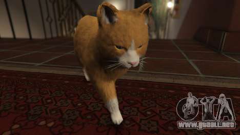 GTA 5 Mogie The House Cat