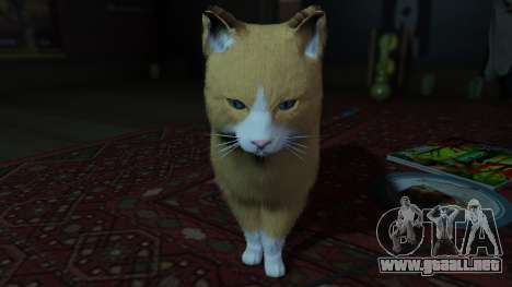 GTA 5 Mogie The House Cat