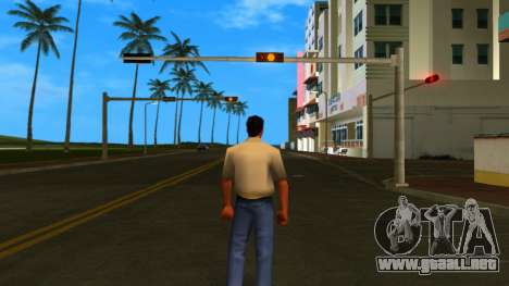 HD Hmyri para GTA Vice City